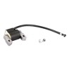 bobine-d-allumage-bs-briggs-et-stratton-590454