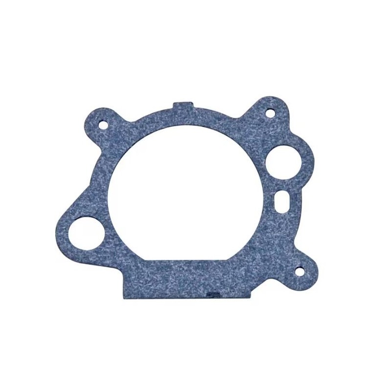 joint-de-filtre-briggs-et-stratton-795629