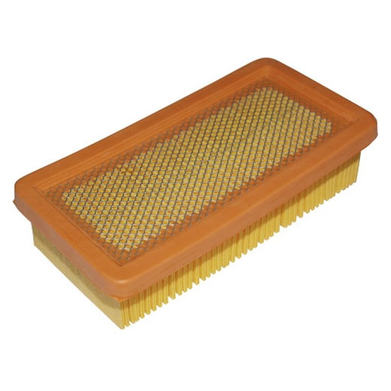Tecumseh Filtre à Air Tondeuse Geotec-Geotec OHV Tecumseh 23410061 199005 