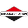 Axe de piston std BRIGGS ET STRATTON 124B2327GS