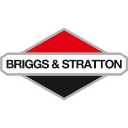 Moteur vertical - 5,9 HP - monocylindre - serie 875 - BRIGGS ET STRATTON 125P070011F1