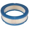 filtre-a-air-briggs-et-stratton-394018s18s