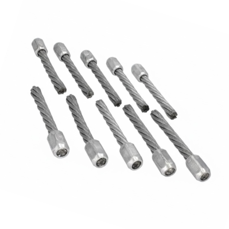 kit-10-brosses-desherbeur-etesia-wolf-mbr50-53538