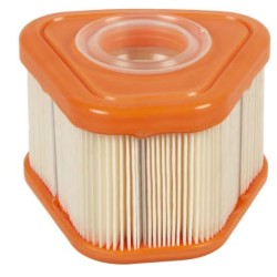 filtre-a-air-briggs-et-stratton-595853
