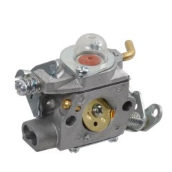 carburateur-walbro-wt-761a-ggp-castelgarden-stiga-alpina-1911-4450-01-1230540141