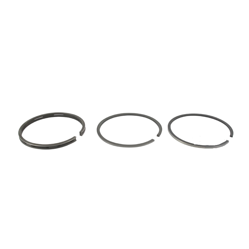kit-segments-moteur-briggs-et-stratton-298984-555090-379015