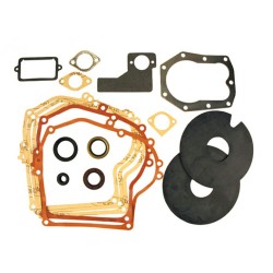 kit-joint-briggs-et-stratton-492653-391834-393421