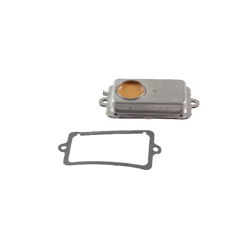 purgeur-briggs-et-stratton-495735