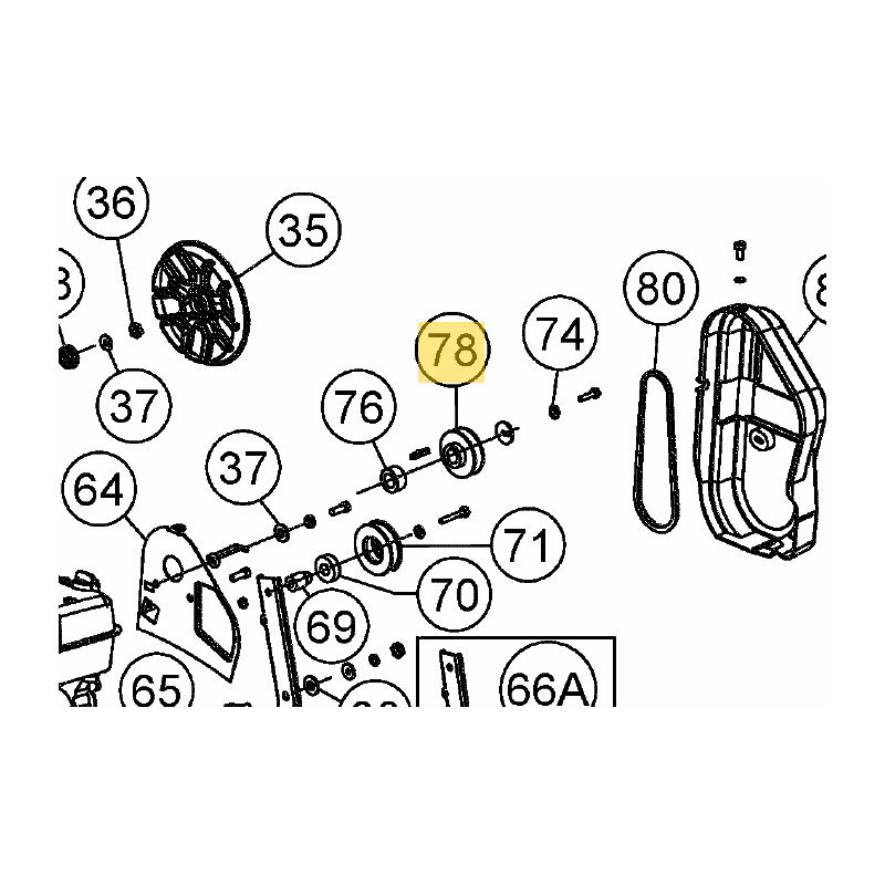 poulie-scarificateur-mtd-756-05071-969228
