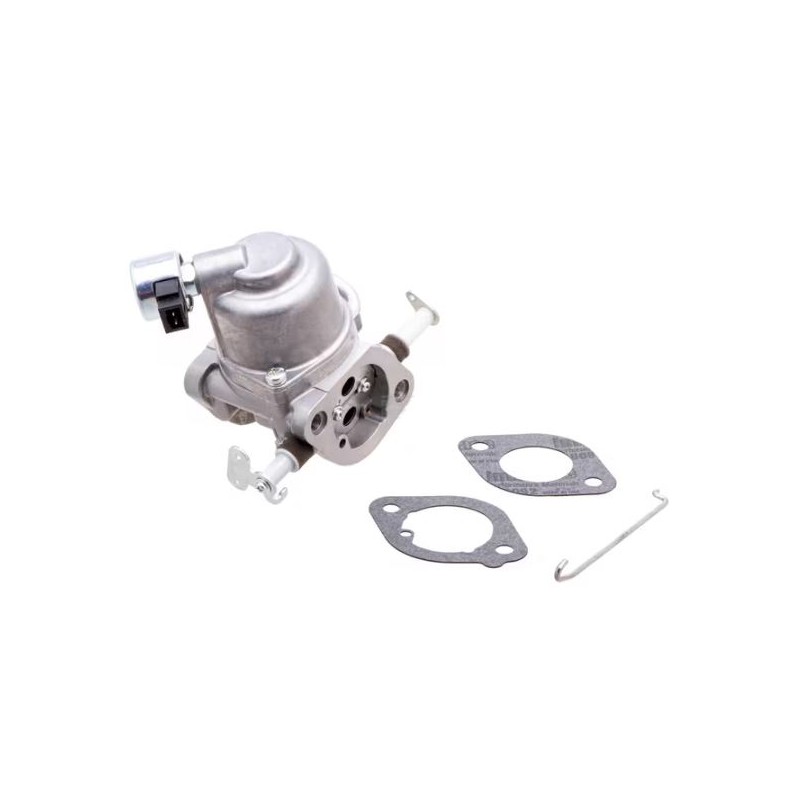 carburateur-briggs-et-stratton-597126
