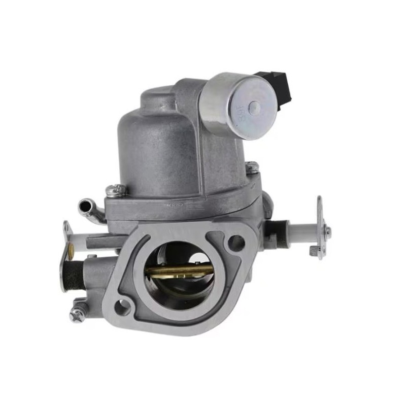 carburateur-briggs-et-stratton-597126