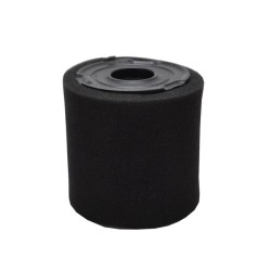 filtre-a-air-moteur-tecumseh-34782-34782a-34782b