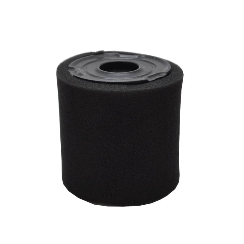 filtre-a-air-moteur-tecumseh-34782-34782a-34782b