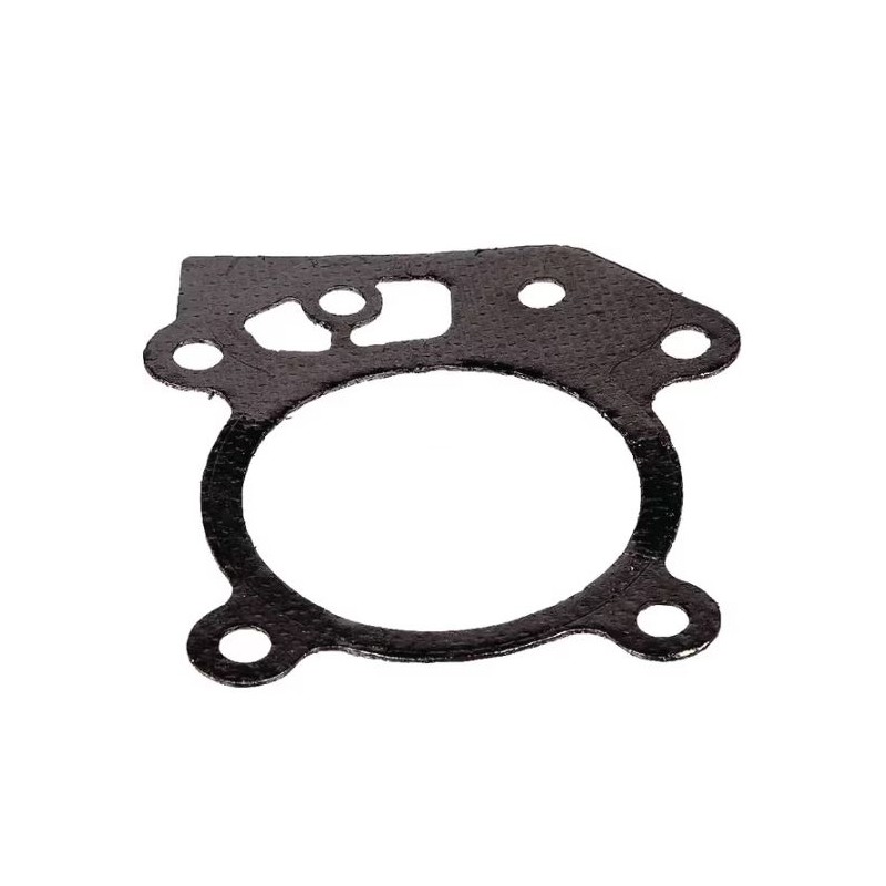 joint-de-culasse-briggs-et-stratton-799586