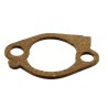joint-de-filtre-briggs-et-stratton-272512