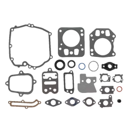 kit-de-joints-briggs-et-stratton-795442