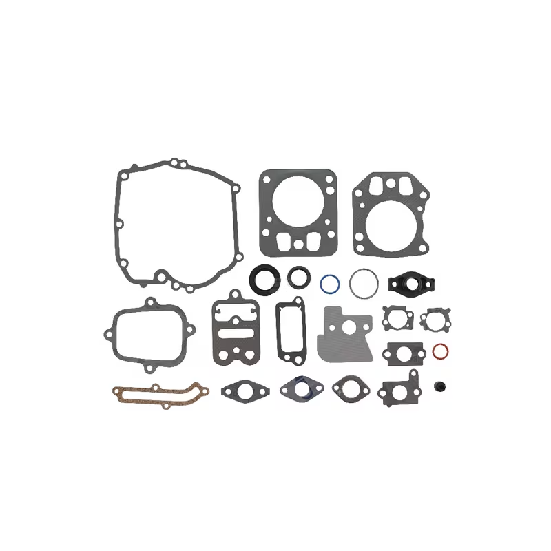 kit-de-joints-briggs-et-stratton-795442