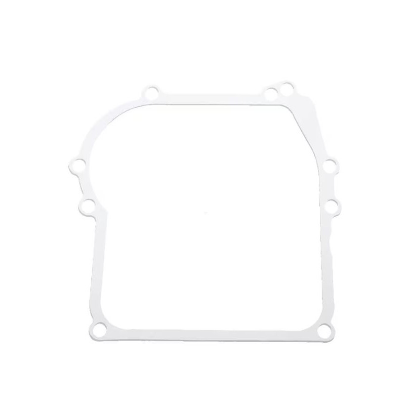 joint-de-carter-briggs-et-stratton-270896