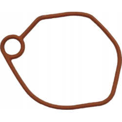 packingcarburetor-1185511240-ggp-castelgarden-stiga