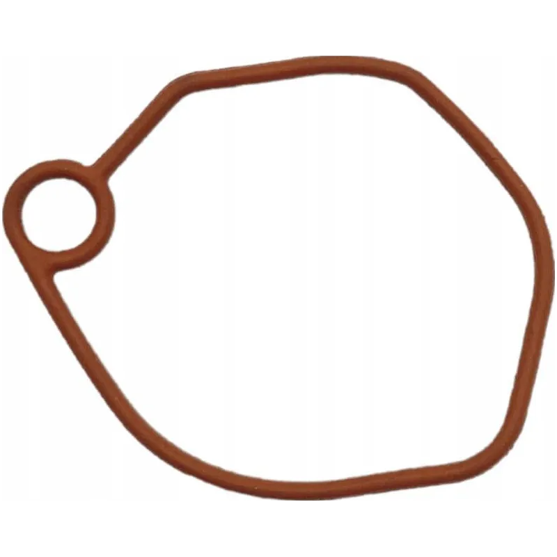 packingcarburetor-1185511240-ggp-castelgarden-stiga
