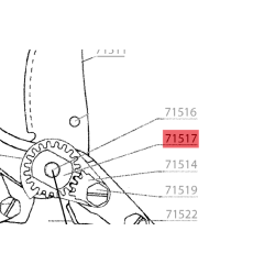 ecrou-dente-etesia-wolf-71517