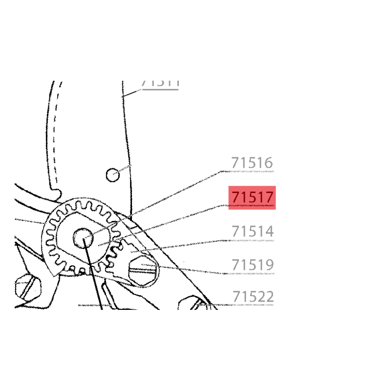 ecrou-dente-etesia-wolf-71517