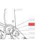 ecrou-dente-etesia-wolf-71517