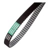 courroie-optibelt-green-garden-optibelt-lg2001076-ggp-castelgarden-stiga-1134-9198-01-1134-9198-02-350615130-9585-0164-01