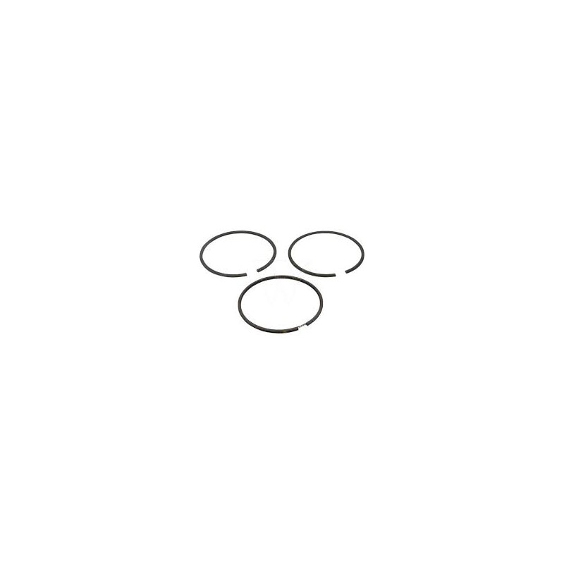 kit-de-segments-020-briggs-et-stratton-499427