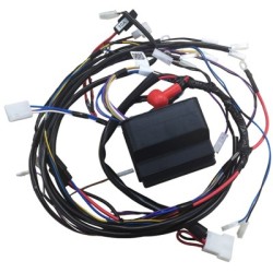 complete-es-card-nr66-assy-iso-ggp-castelgarden-stiga-alpina-mountfield-3847224741