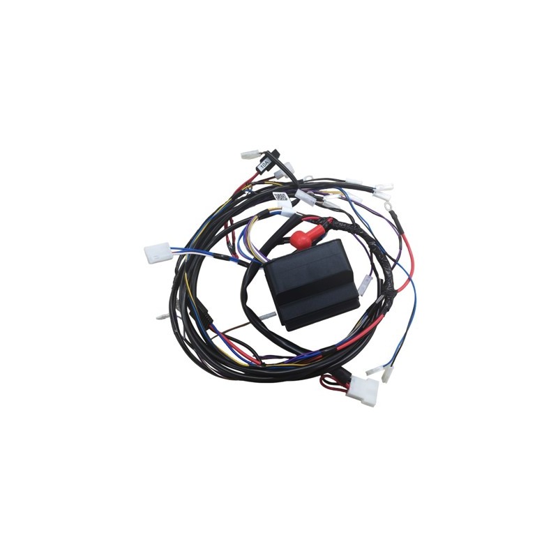 complete-es-card-nr66-assy-iso-ggp-castelgarden-stiga-alpina-mountfield-3847224741