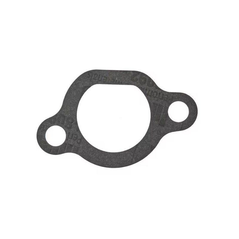 carburetor-gasket-1185513950-ggp-castelgarden-stiga