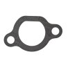 carburetor-gasket-1185513950-ggp-castelgarden-stiga