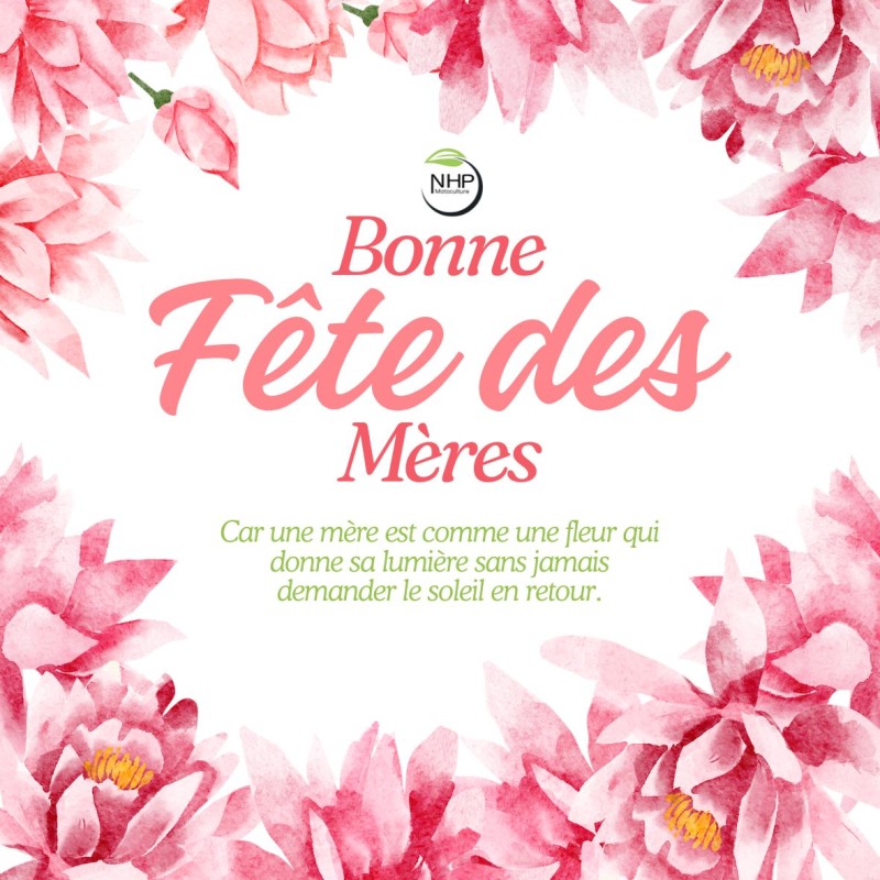 CARTE FETE DES MERES - CARTE A PLANTER - FLEURS DES CHAMPS