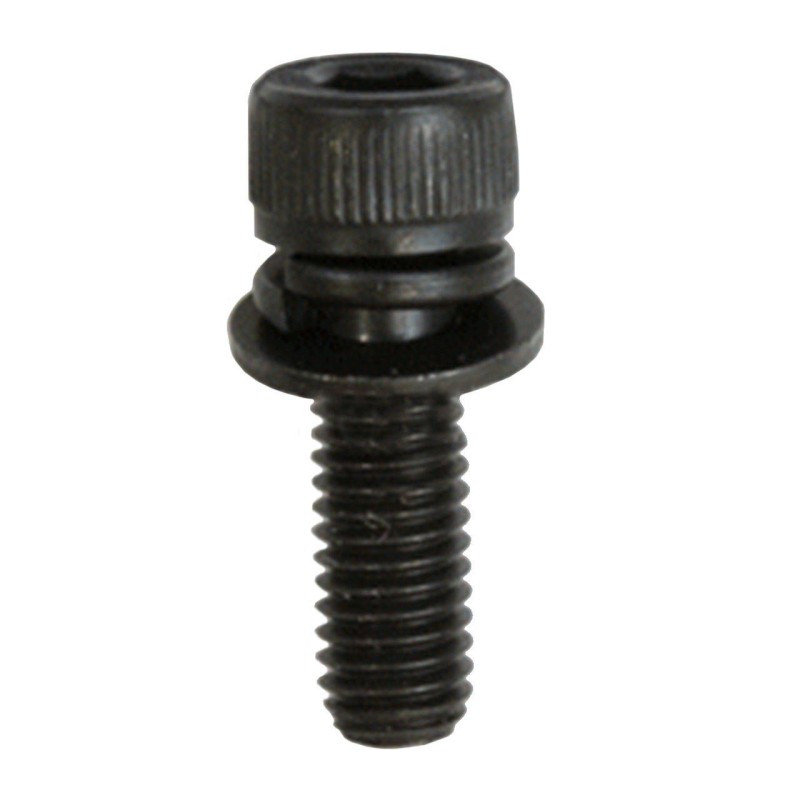 boulon-echo-shindaiwa-v203000591