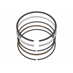 jeu-segments-moteur-srv180-cc151t-tondeuse-anova-cc151t-m05