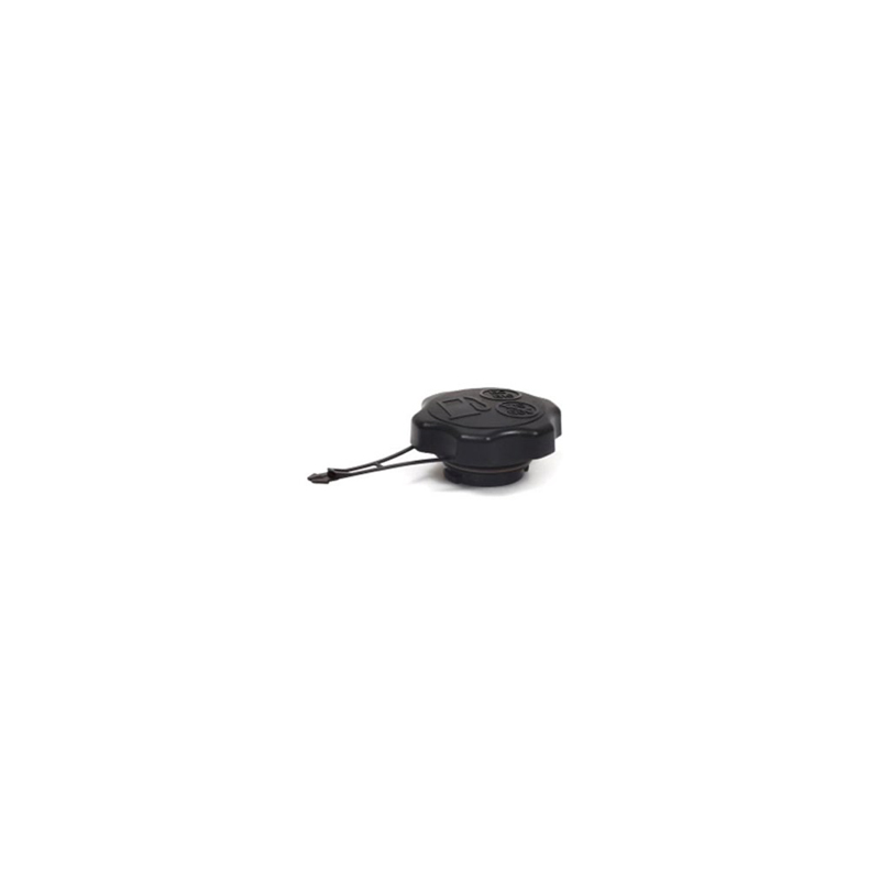 bouchon-de-reservoir-de-carburant-briggs-et-stratton-847578