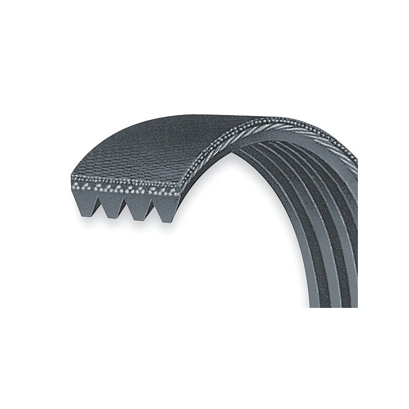 courroie-optibelt-crantee-nervuree-5pj762-762pj5-5-pj-762-762-mm-5-dents-type-poly-v