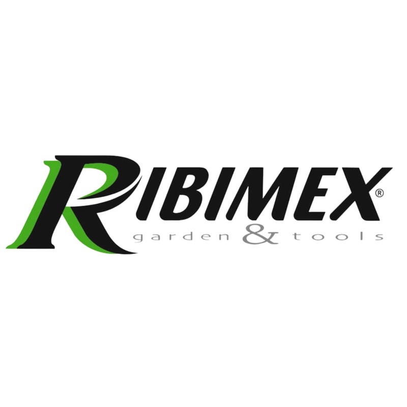 pompe-vide-cuve-vide-fut-automatique-550w-ribimex-logo-