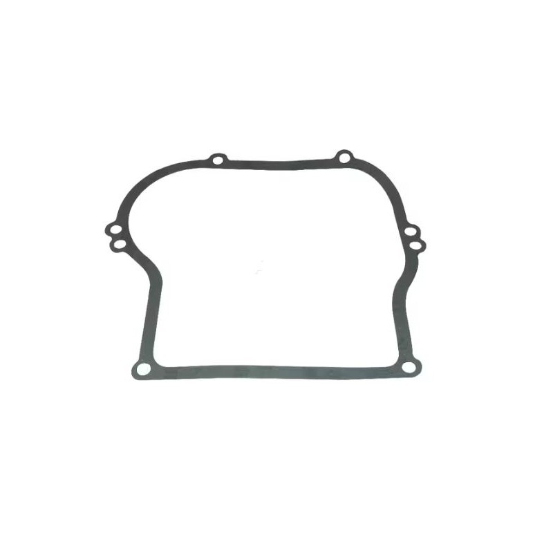 joint-de-carter-4161-briggs-et-stratton-692213