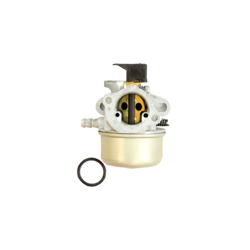 carburateur-briggs-et-stratton-496649