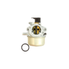carburateur-briggs-et-stratton-496649