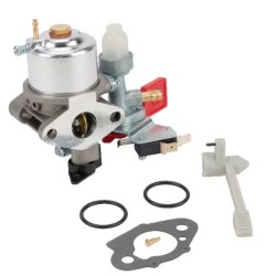 carburateur-briggs-et-stratton-595318