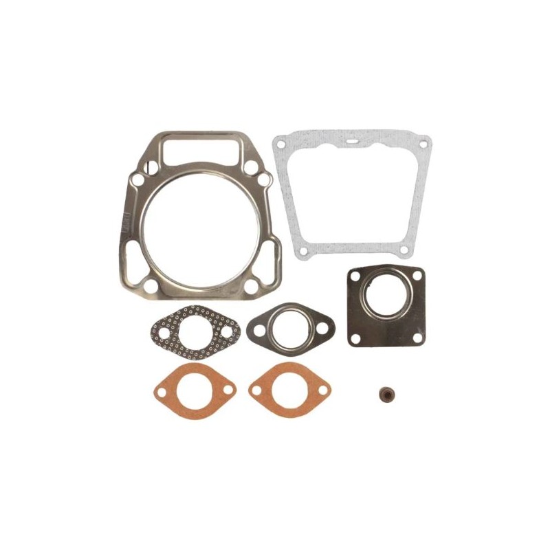 kit-refection-soup-briggs-et-stratton-715386