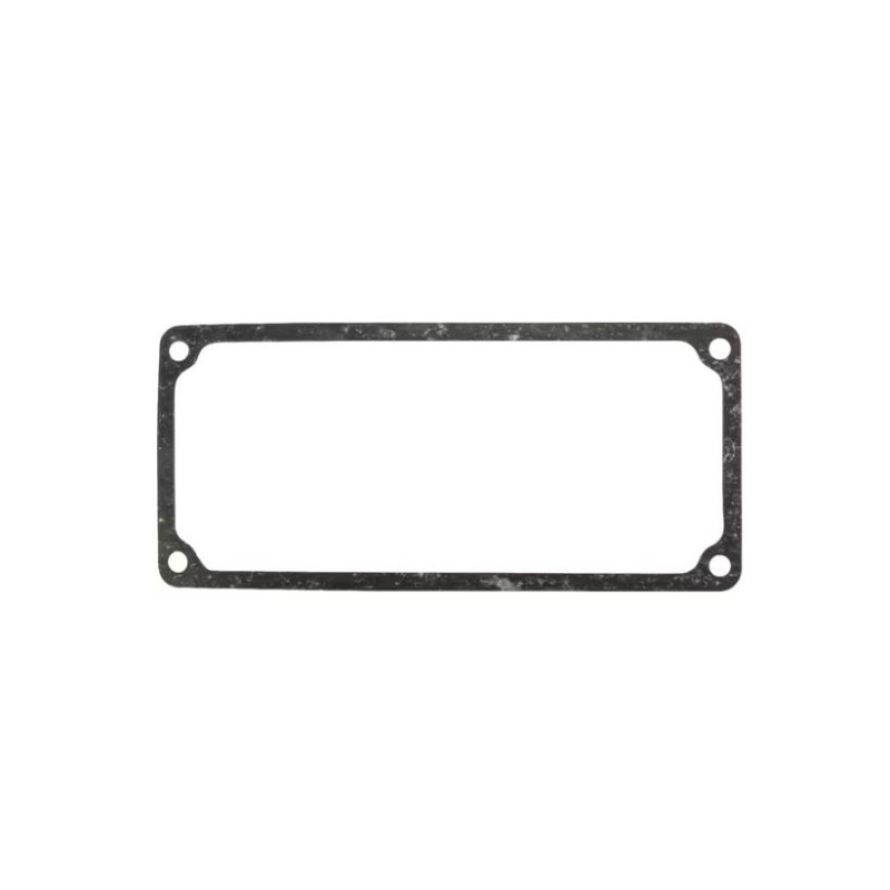 joint-de-carter-briggs-et-stratton-691569