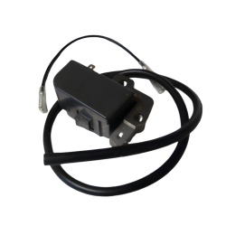module-cdi-echo-shindaiwa-15660108361