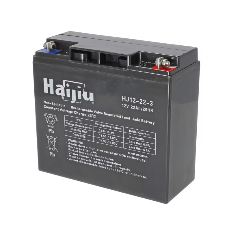 batterie-22-ah-12v-1181200570-ggp-castelgarden-stiga