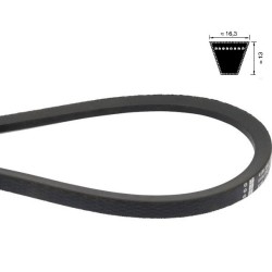 Courroie trapézoidale SPB1250, SPB 1250