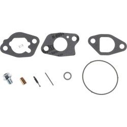 kit-de-revision-du-carburateur-briggs-et-stratton-591770