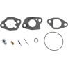 kit-de-revision-du-carburateur-briggs-et-stratton-591770